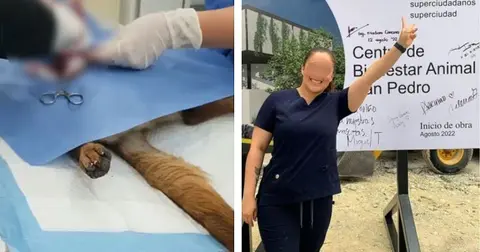 Despiden a veterinarias por fallecimiento de perrita sin anestesia