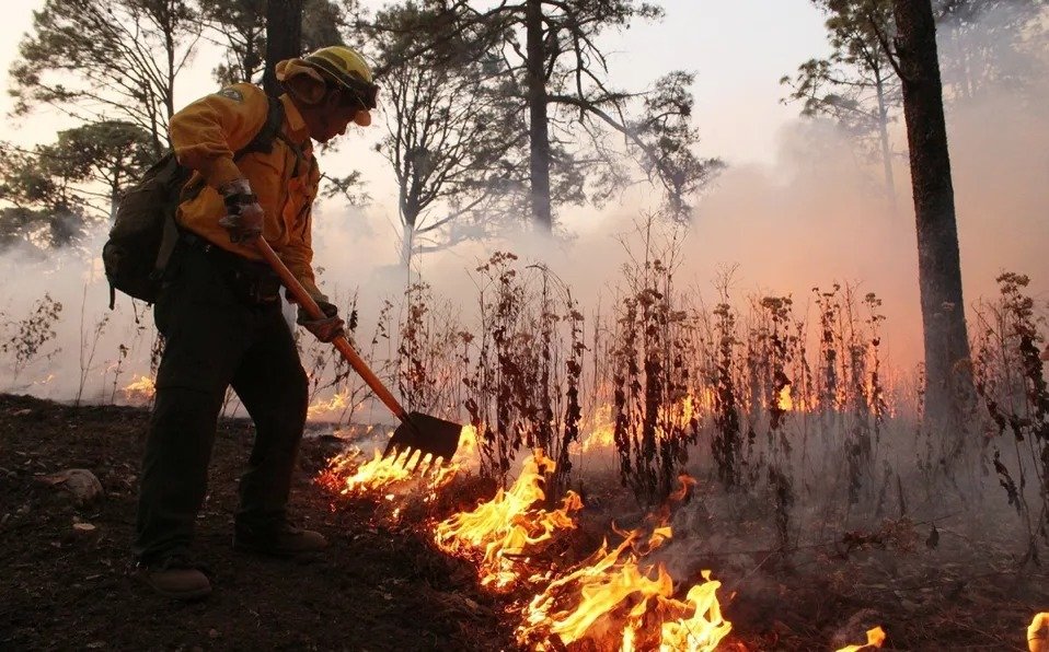 Incendios en Nuevo León se podrían incrementar durante esta temporada.