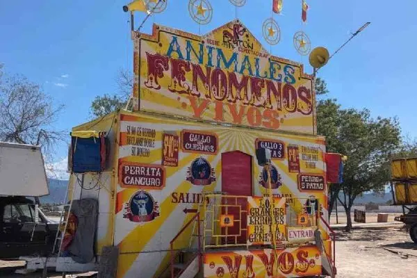 Circo de animales deformes es clausurado en Sabinas, Hidalgo, N.L.