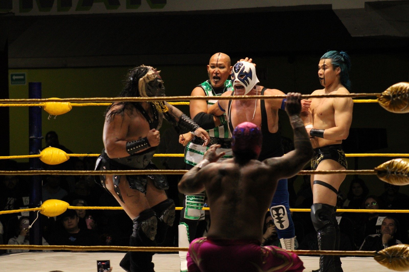 Arranca la temporada 2026 en la Arena José Sulaimán