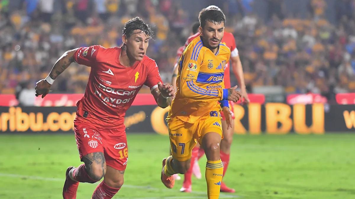 Necaxa y Tigres se miden en la Jornada 15 de la Liga Mx