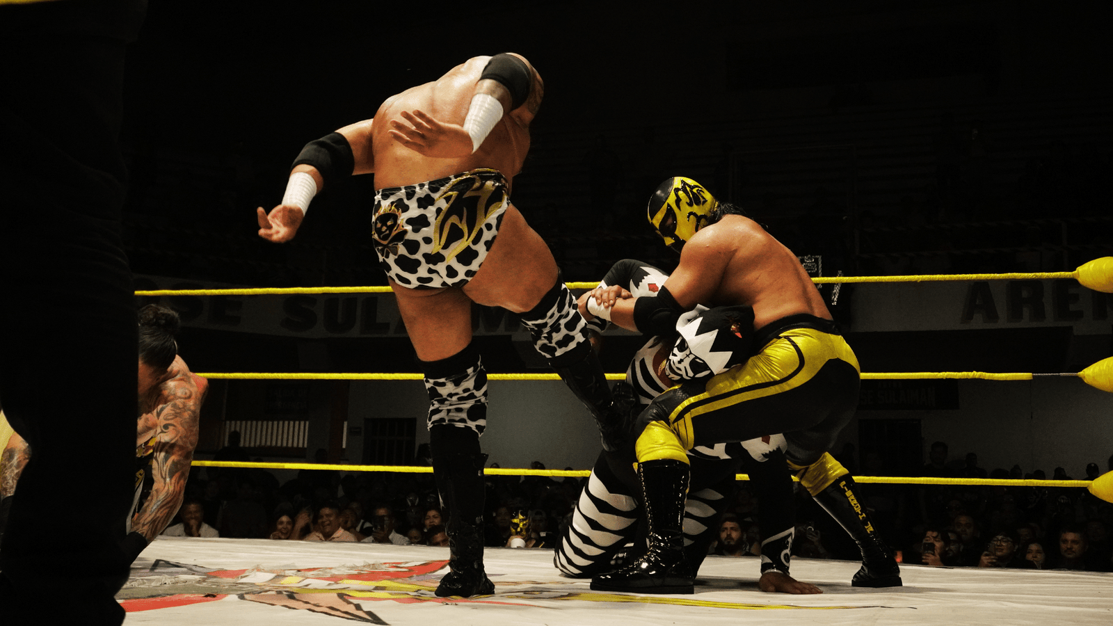¡Victoria! Texano Jr. derrota a LA Park en la lucha estelar